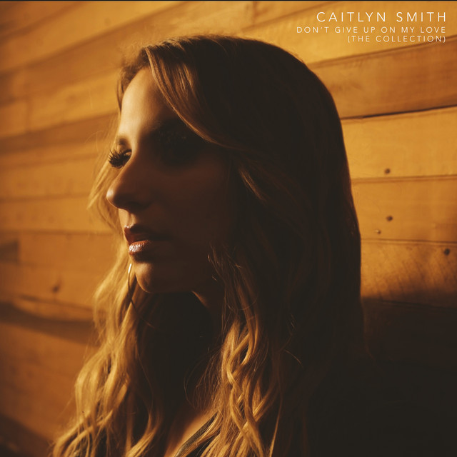 Don't Give Up On My Love (The Collection) album cover