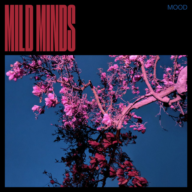 MOOD album cover