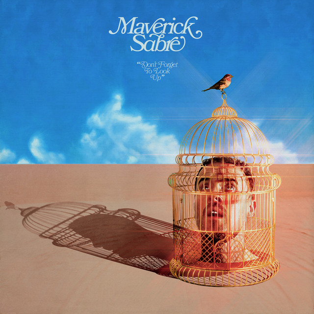 Don't Forget to Look Up album cover