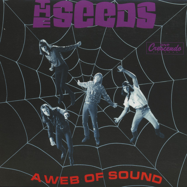 The Seeds Members, Gear & Sound | Equipboard