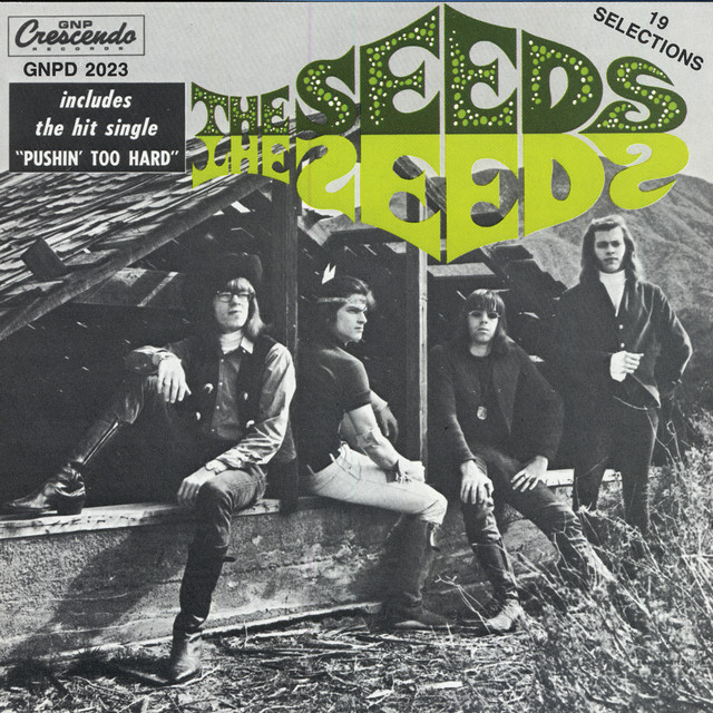 Wurlitzer 140B as heard on The Seeds by The Seeds (1966)