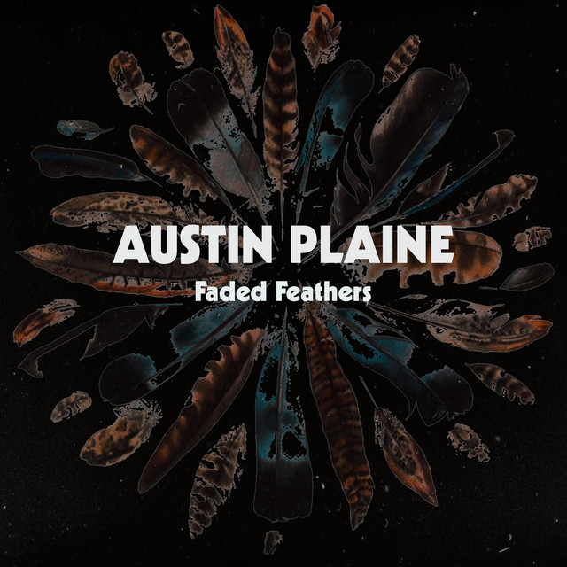 Faded Feathers album cover