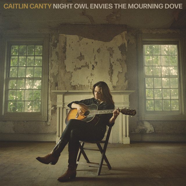 Night Owl Envies the Mourning Dove album cover