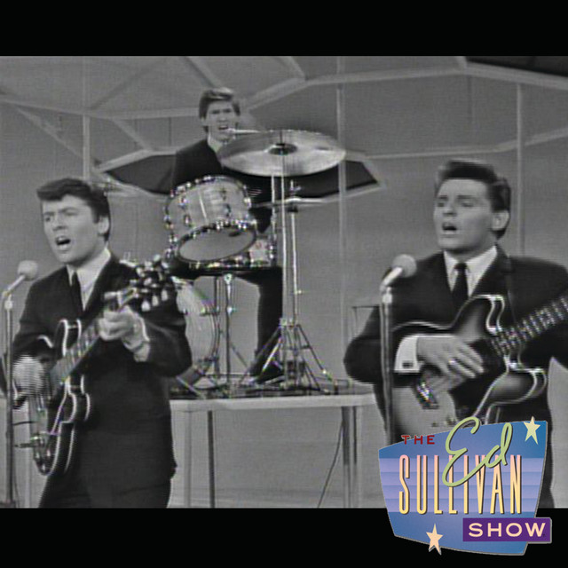 Gibson ES-345 Electric Guitar as heard on Needles And Pins (Performed Live On The Ed Sullivan Show/1964) by The Searchers (2010)