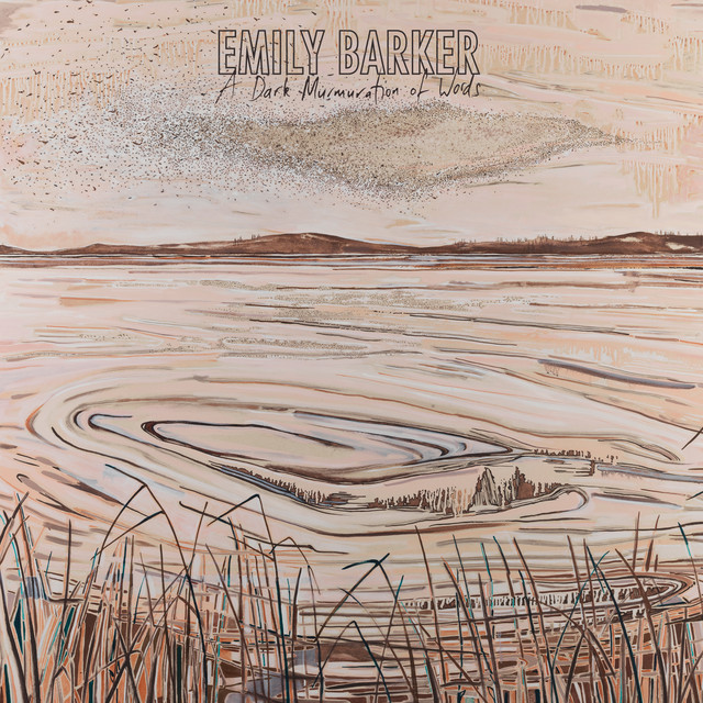 A Dark Murmuration of Words album cover