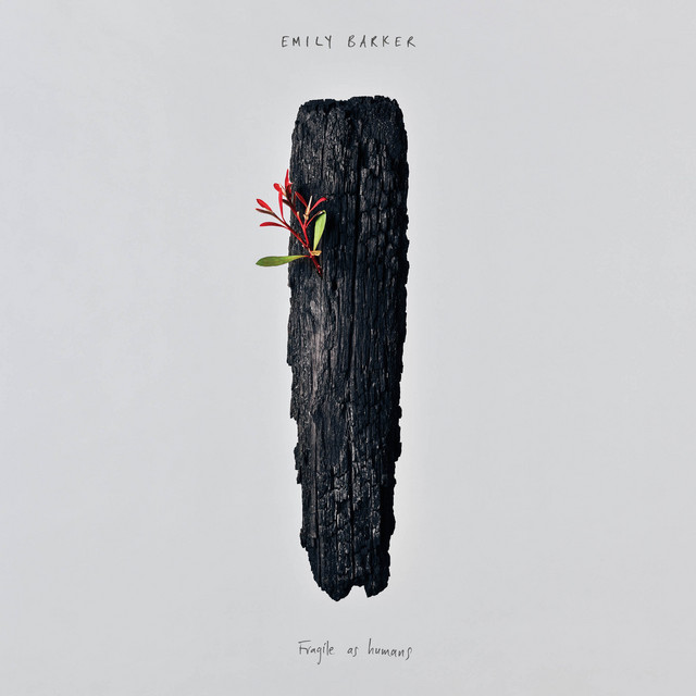 Fragile as Humans album cover
