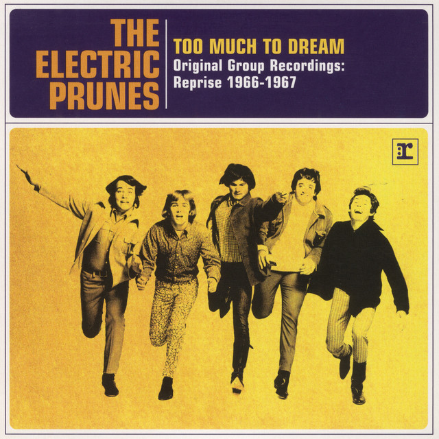 Too Much To Dream - Original Group Recordings: Reprise 1966-1967 album cover