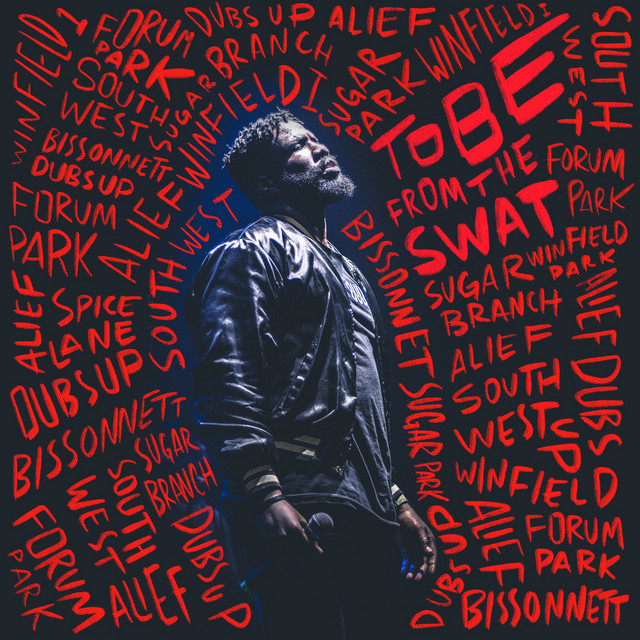 Tobe From The Swat album cover