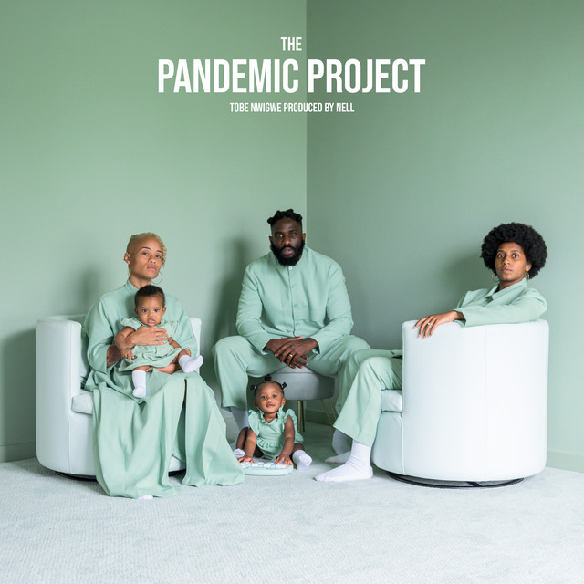 THE PANDEMIC PROJECT album cover