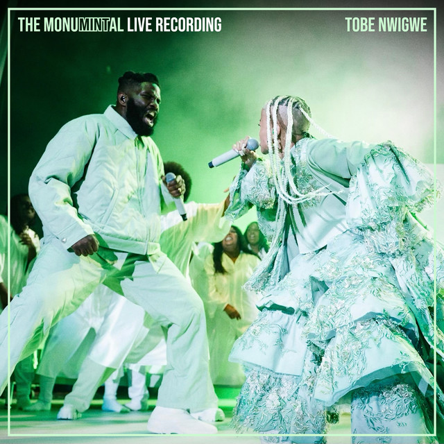 THE MONUMINTAL LIVE RECORDING album cover