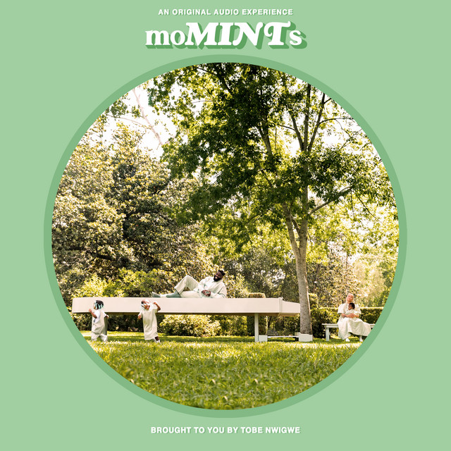 moMINTs album cover