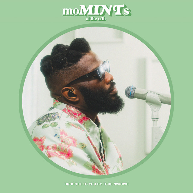 moMINTs [AT THE CRIB VERSION] album cover
