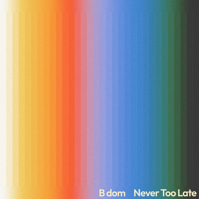 Never Too Late album cover