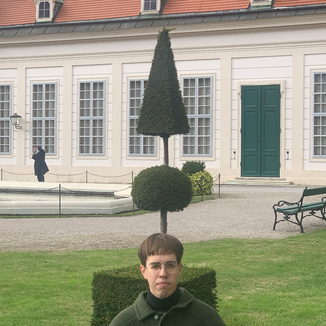 A Producer From Vienna album cover