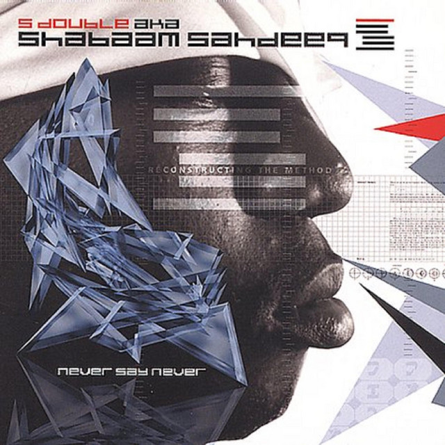 Never Say Never album cover