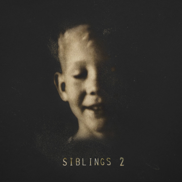 Siblings 2 album cover
