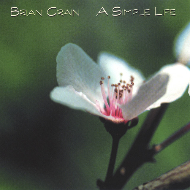 A Simple Life album cover