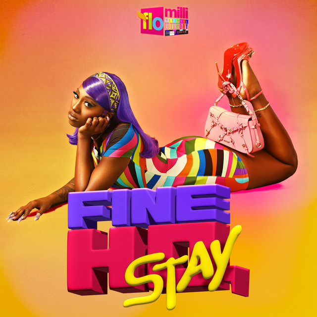 Fine Ho, Stay album cover