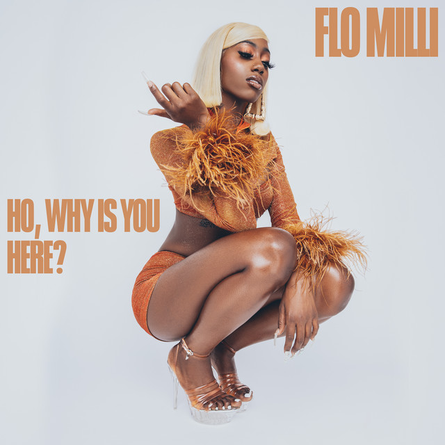 Ho, why is you here ? album cover