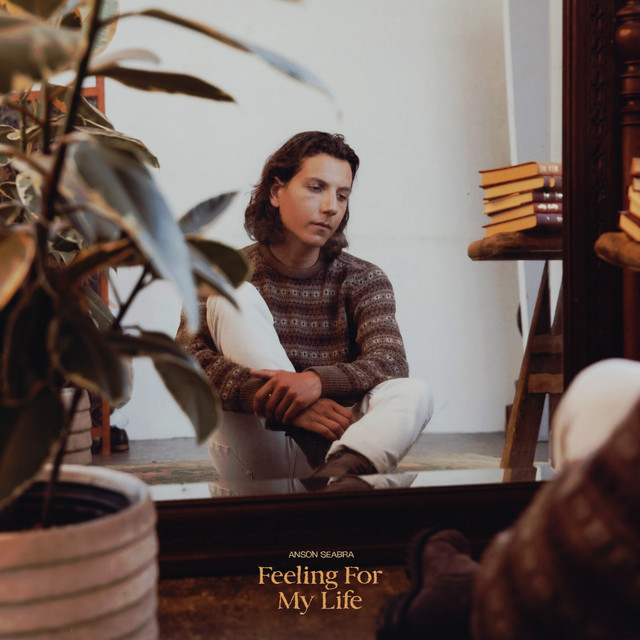 Feeling For My Life album cover