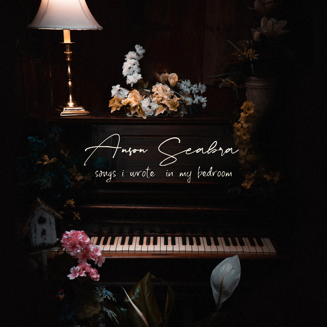 Songs I Wrote in My Bedroom album cover