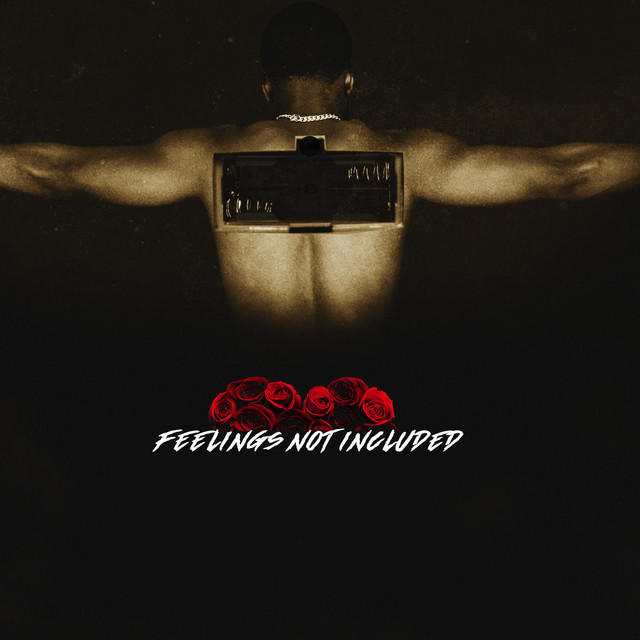 Feelings Not Included album cover