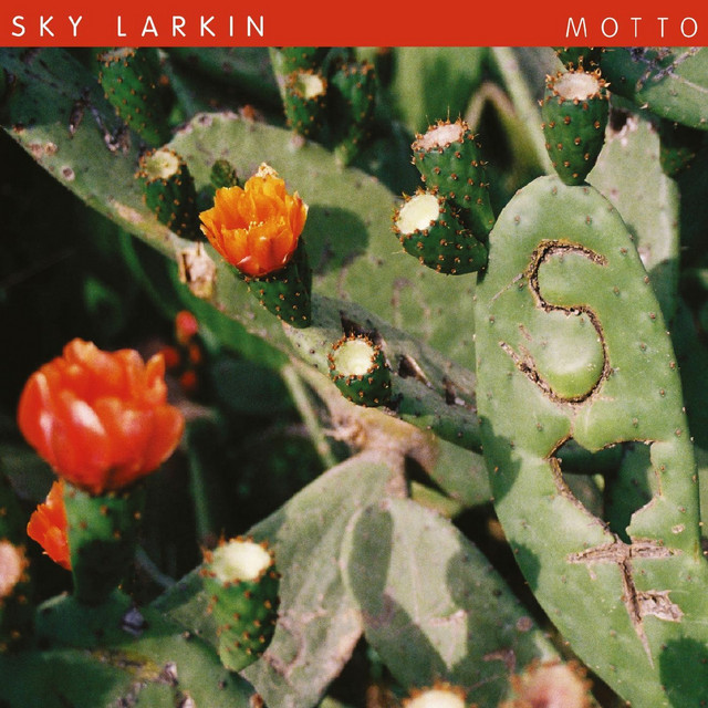 Motto album cover
