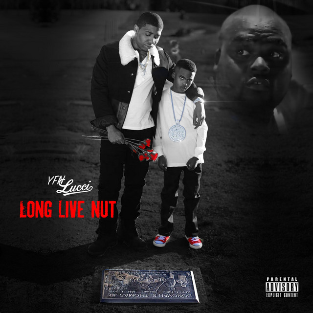 Long Live Nut album cover
