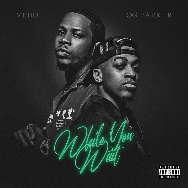 While You Wait album cover