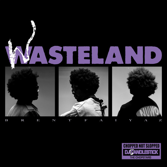 WASTELAND - CHOPPED NOT SLOPPED album cover
