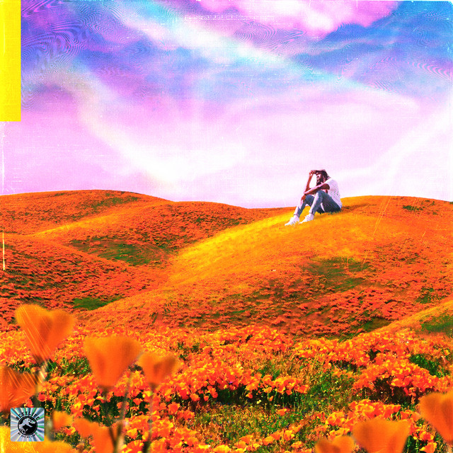 California Poppy album cover