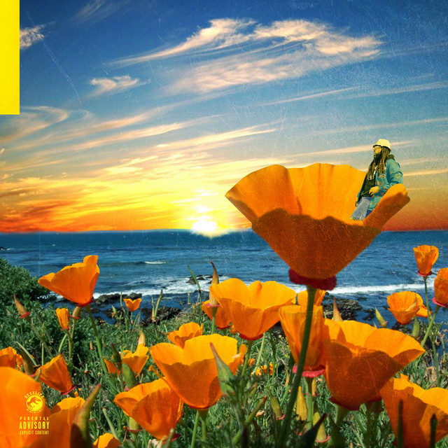 California Poppy 2 album cover