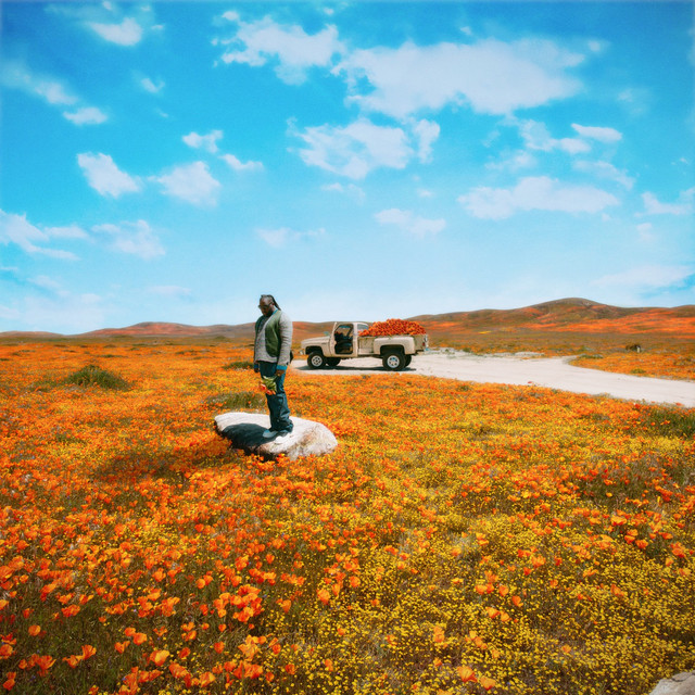 California Poppy 3 album cover