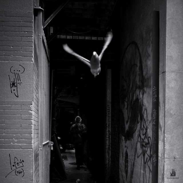 lofeye album cover