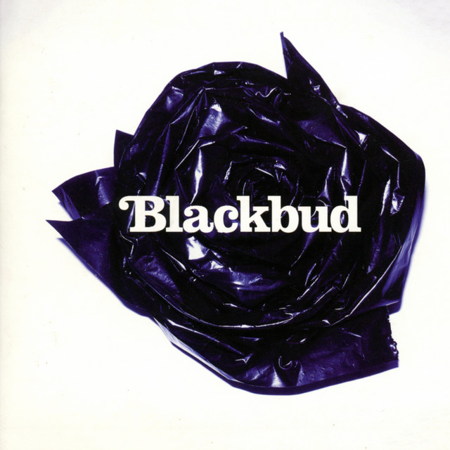 Blackbud album cover