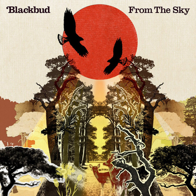 From The Sky album cover