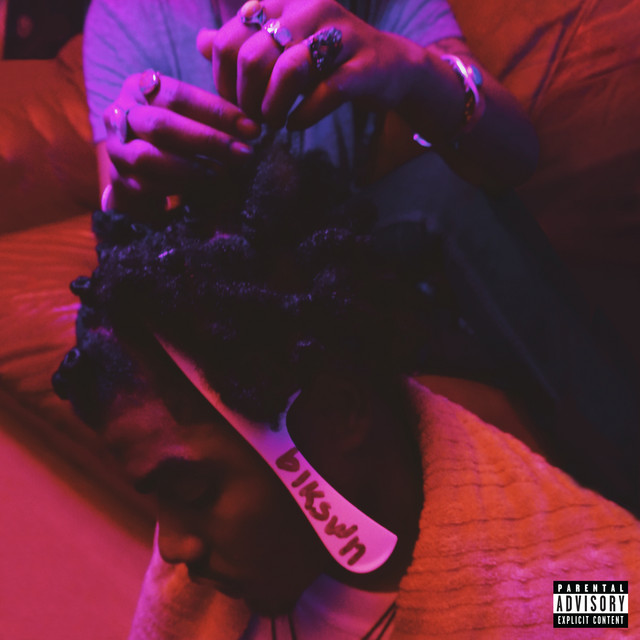 blkswn album cover