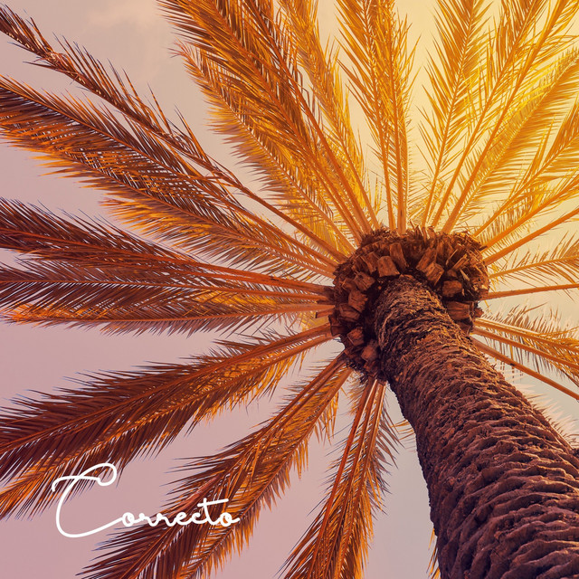 Palms album cover