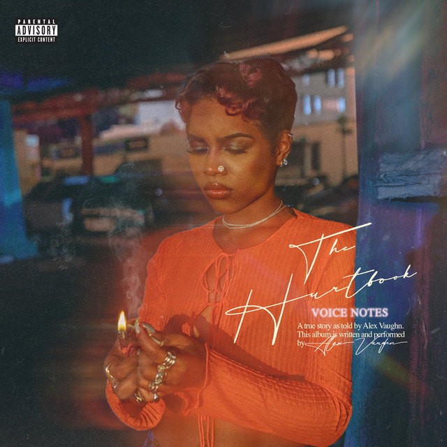The Hurtbook (Voice Notes) album cover