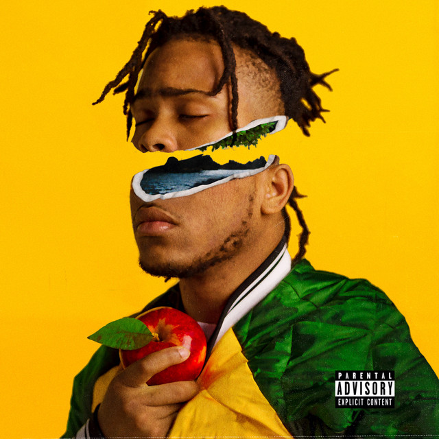 WOO$AH album cover