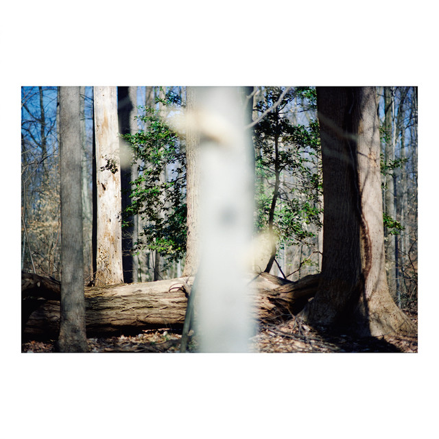 Seven Reorganisations album cover