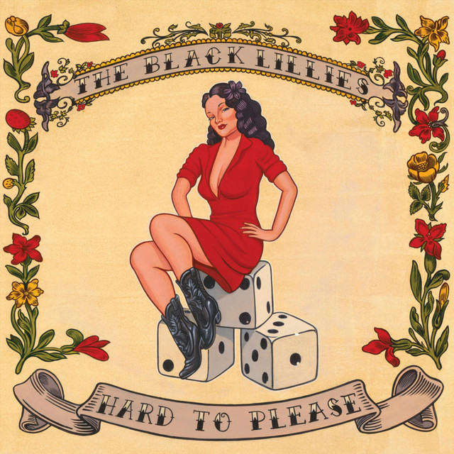 Hard To Please album cover
