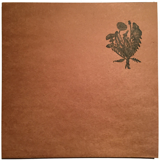 Taraxacum album cover