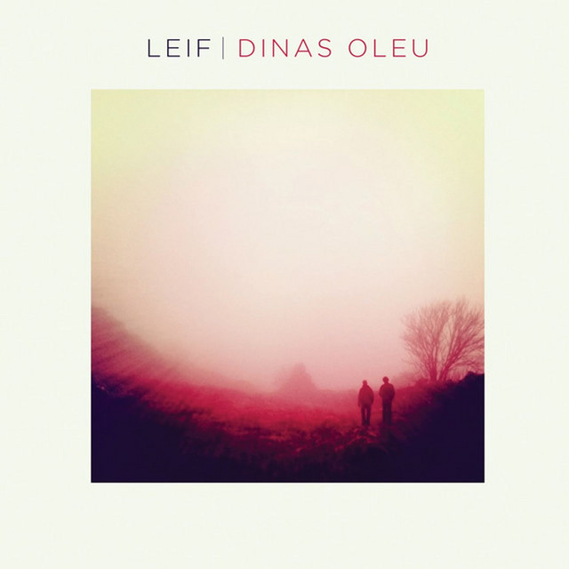 Dinas Oleu album cover