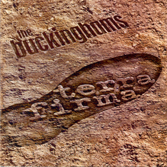 Terra Firma album cover