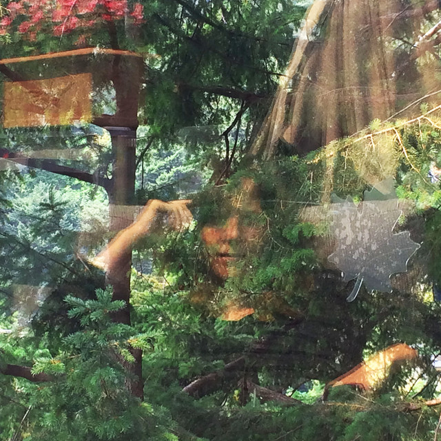 Angels of Death album cover