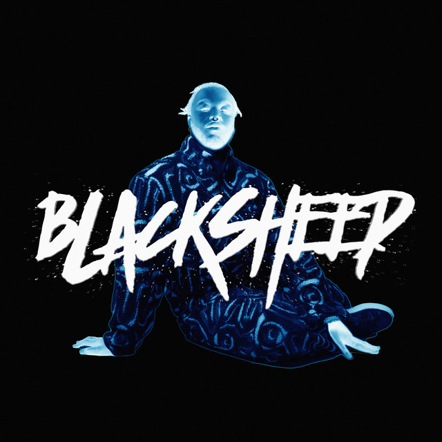 Black Sheep album cover