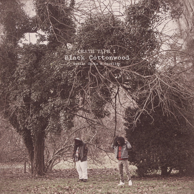 Black Cottonwood album cover