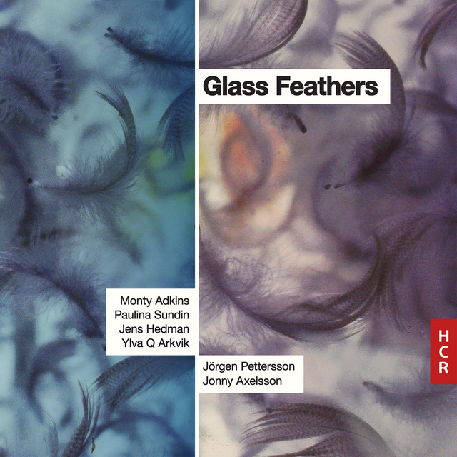Glass Feathers album cover