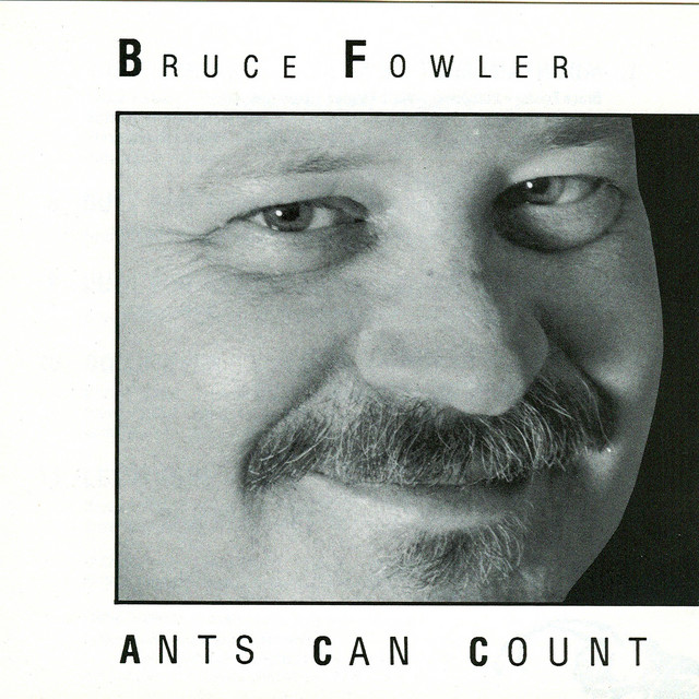 Ants Can Count album cover